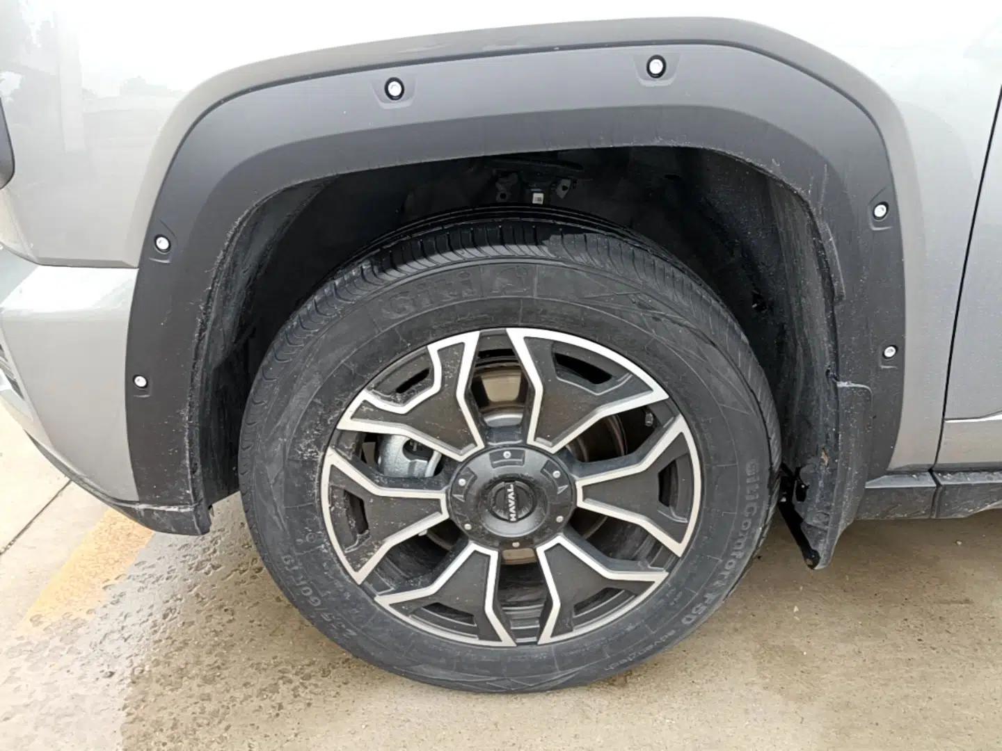 Haval H Dog New Energy 2023 DHT-PHEV 105km Tide Electric Version Plus — миниатюра 8