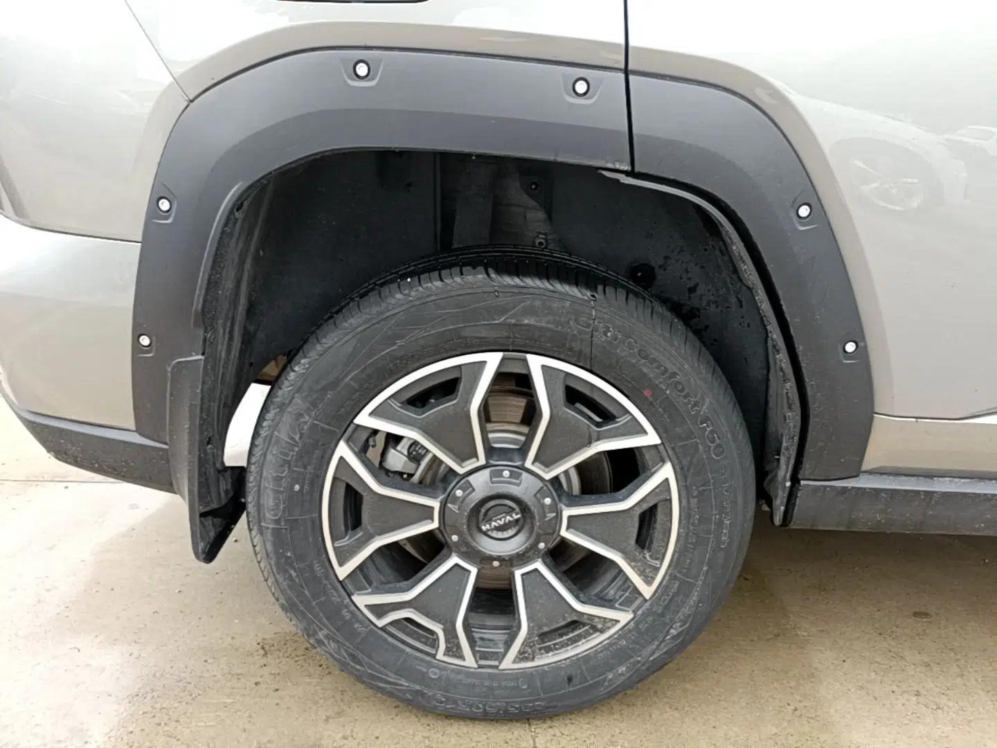 Haval H Dog New Energy 2023 DHT-PHEV 105km Tide Electric Version Plus — миниатюра 10
