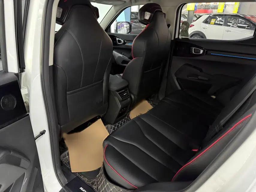 Haval X DOG 2022 1.5T DCT Two-Wheel Drive Trendy Sound Edition — миниатюра 15