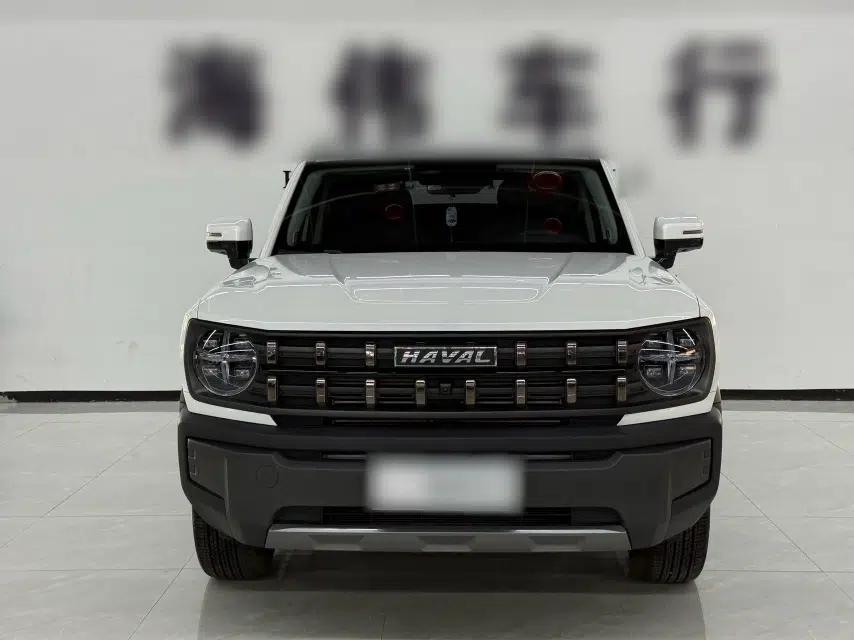 Haval X DOG 2022 1.5T DCT Two-Wheel Drive Trendy Sound Edition — миниатюра 6