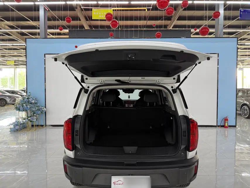 Haval X DOG 2022 1.5T DCT Two-Wheel Drive Trendy Sound Edition — миниатюра 8