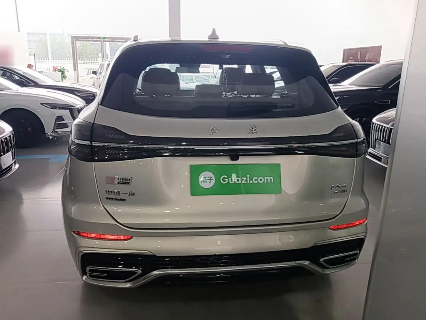 Hongqi HS5 2023 2.0T Four-Wheel Drive Flagship Pro Edition — миниатюра 5