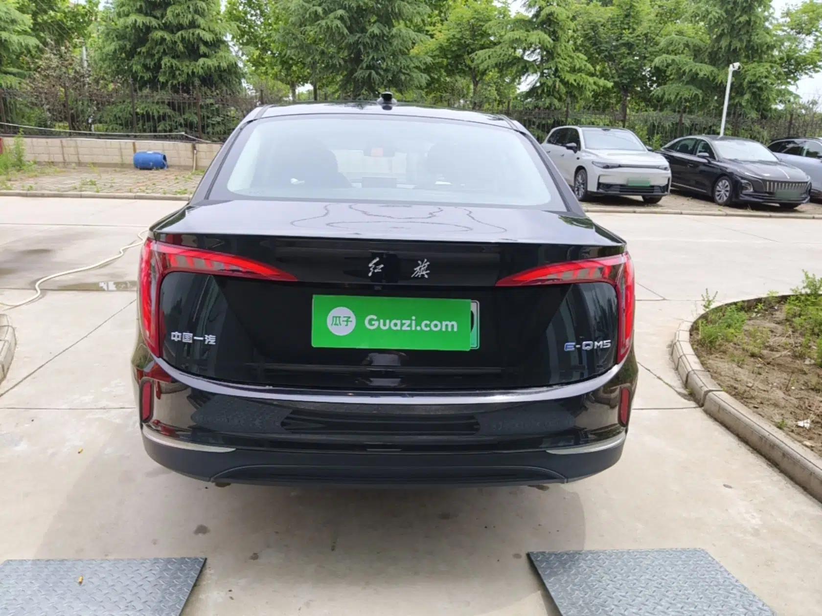 Hongqi E-QM5 2023 Revised Version Basic Travel Edition — миниатюра 5
