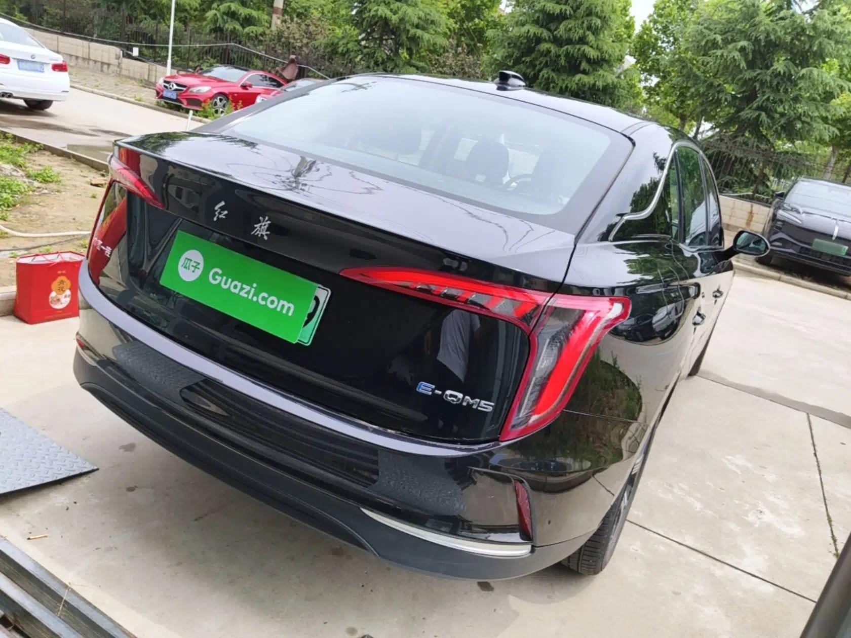 Hongqi E-QM5 2023 Revised Version Basic Travel Edition — миниатюра 6
