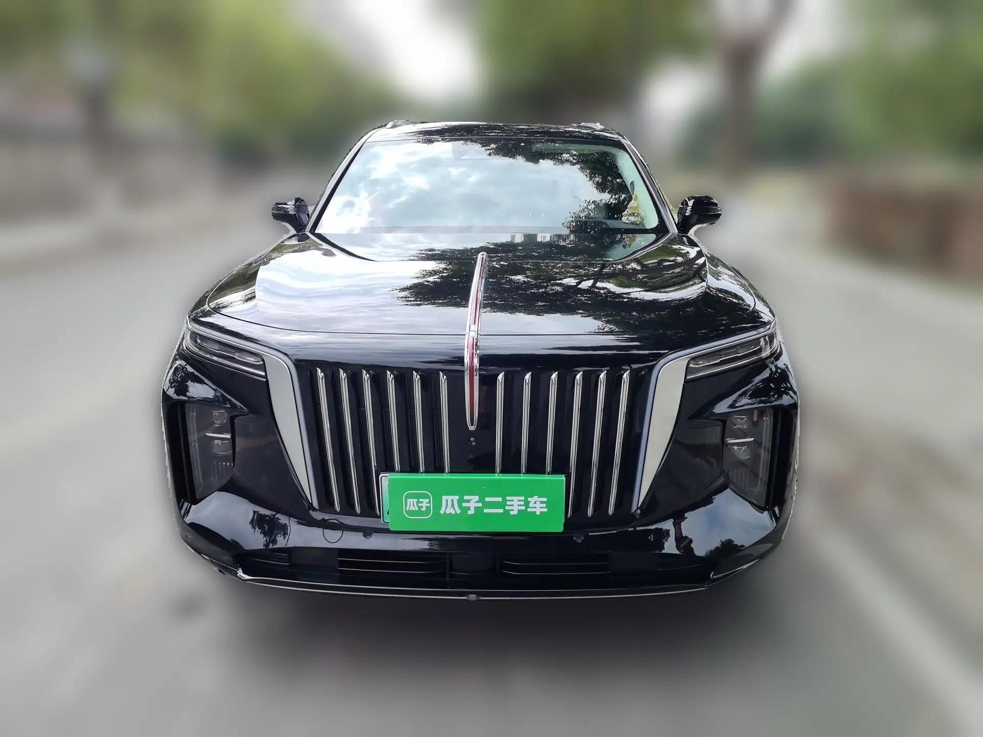 Hongqi E-HS9 2021 510 km Flagship Edition Four Seats — миниатюра 2