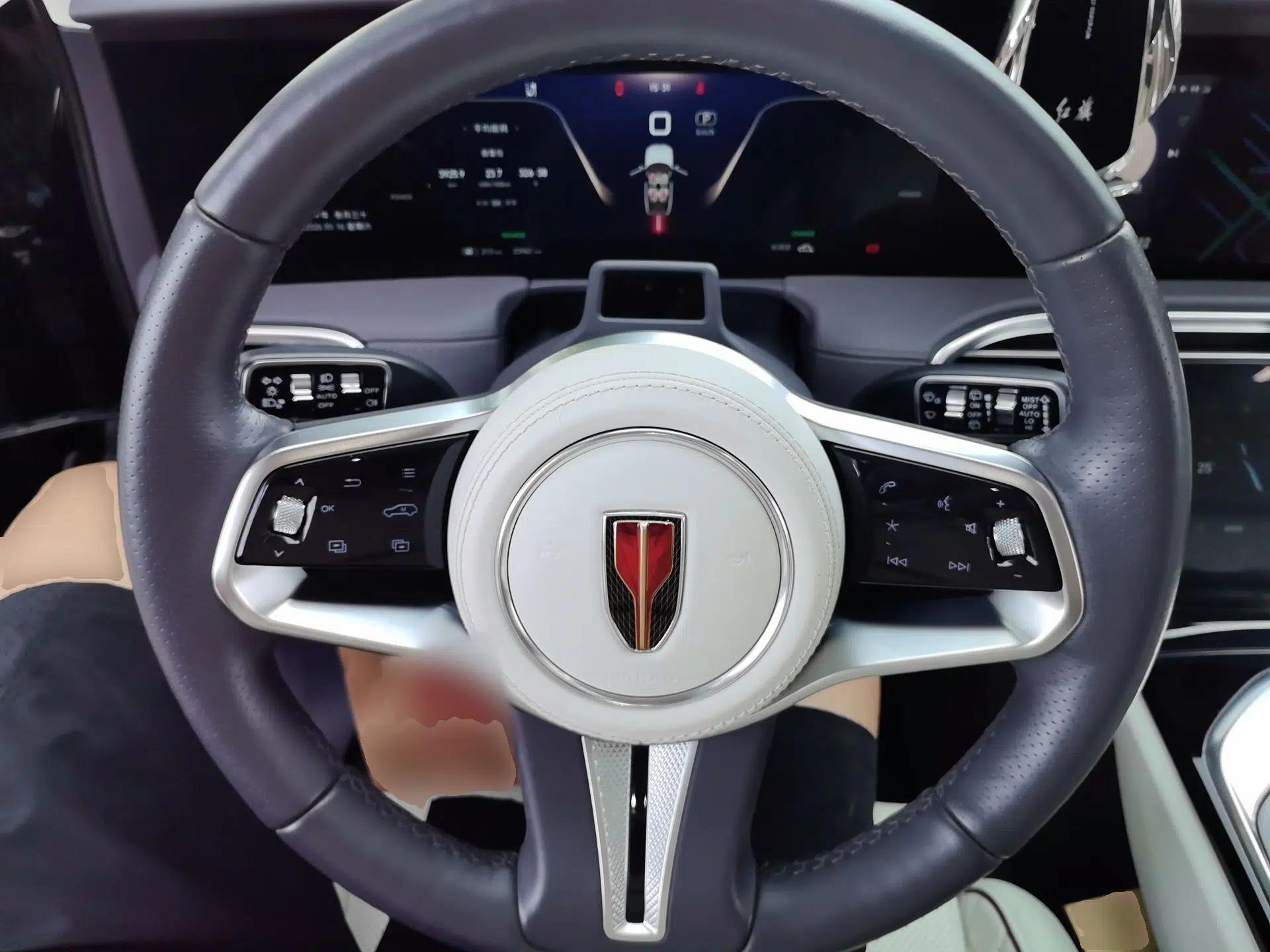 Hongqi E-HS9 2021 510 km Flagship Edition Four Seats — миниатюра 11