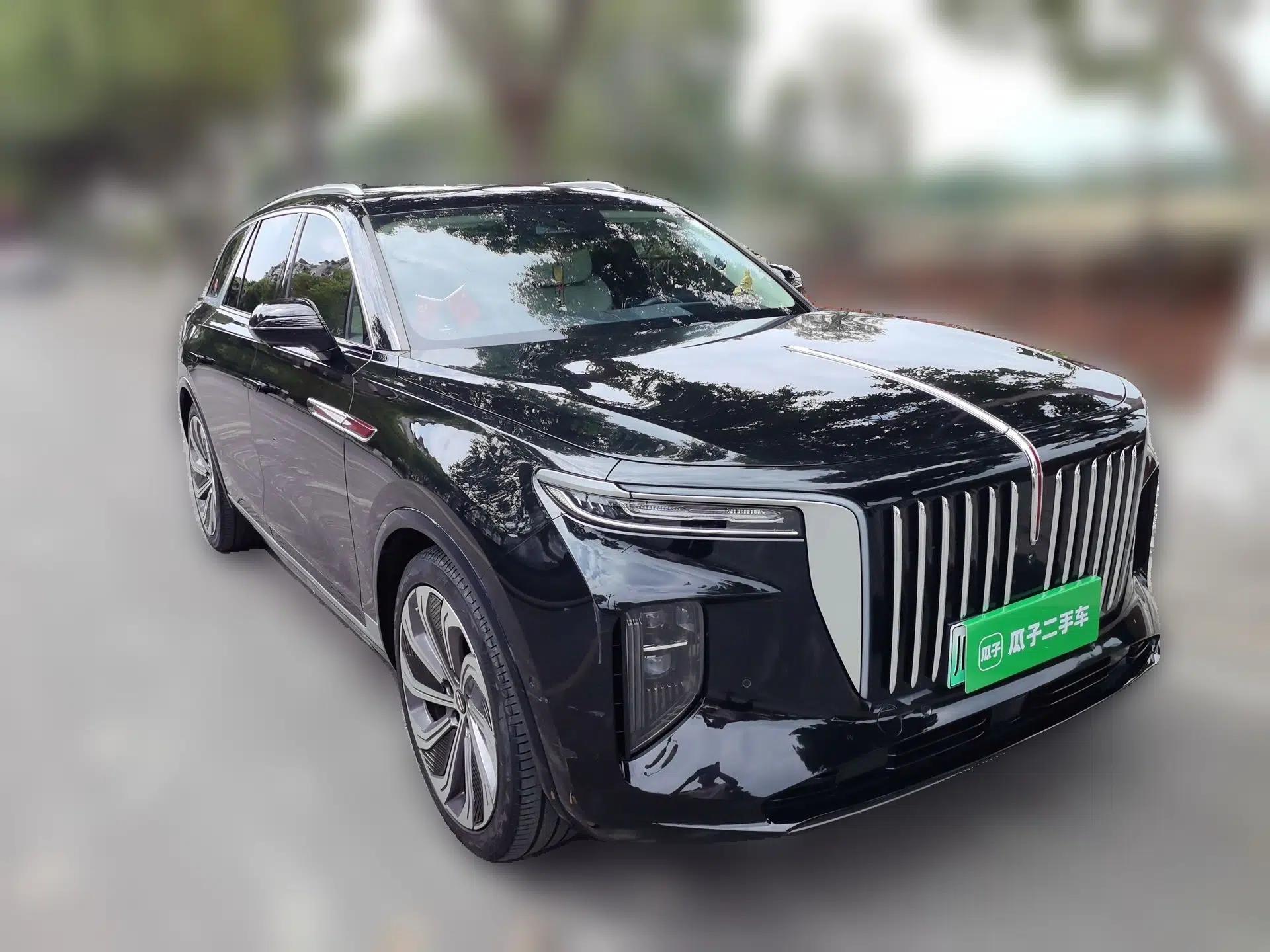 Hongqi E-HS9 2021 510 km Flagship Edition Four Seats — миниатюра 3
