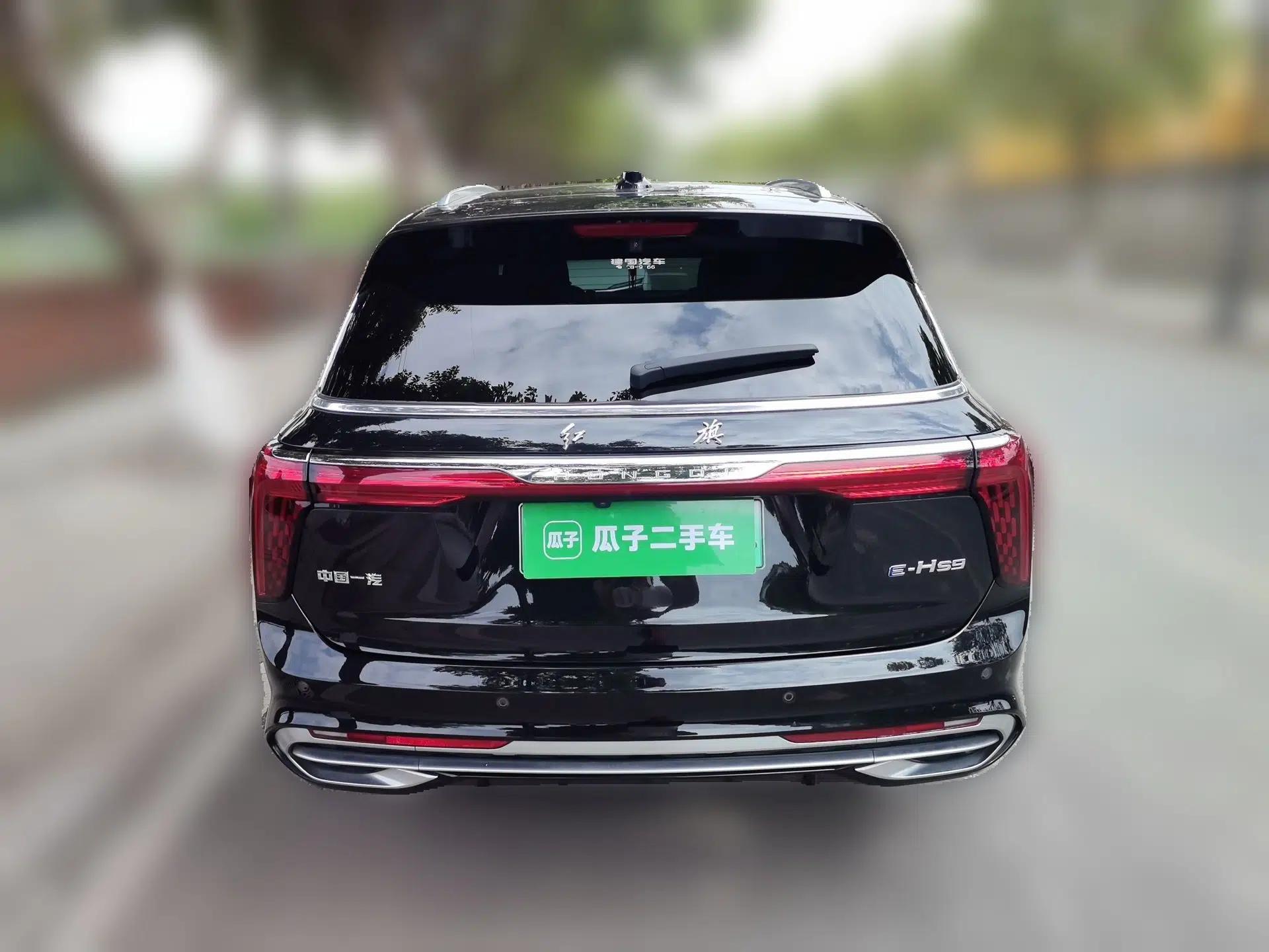 Hongqi E-HS9 2021 510 km Flagship Edition Four Seats — миниатюра 5
