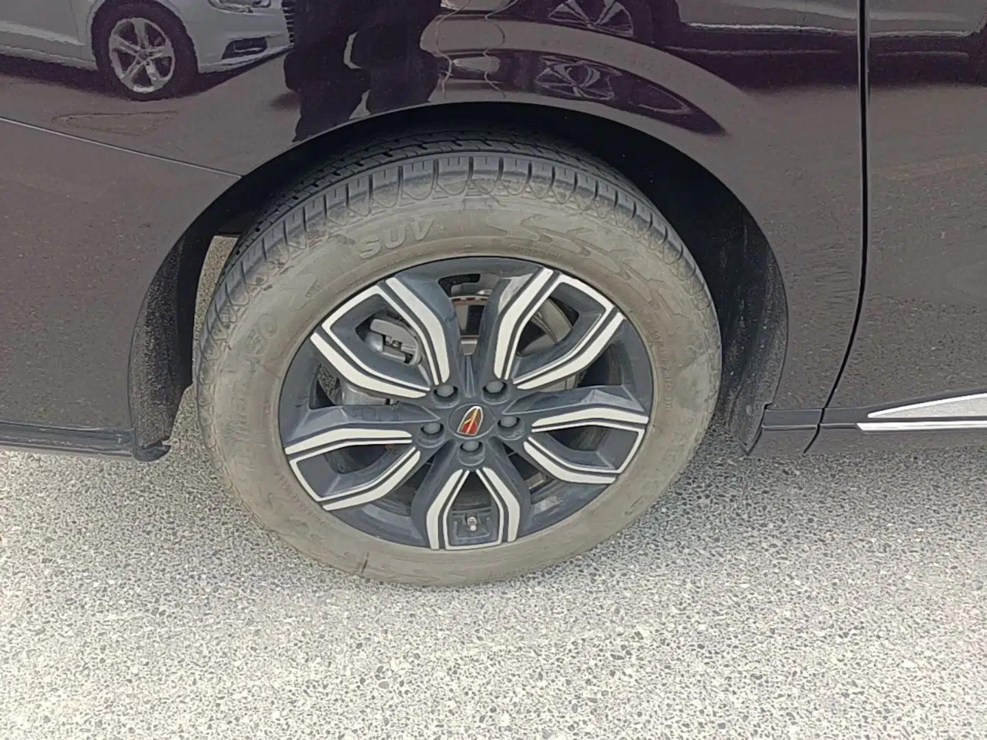 Hongqi HQ9 2023 2.0T Smart Connect Flagship Edition — миниатюра 10