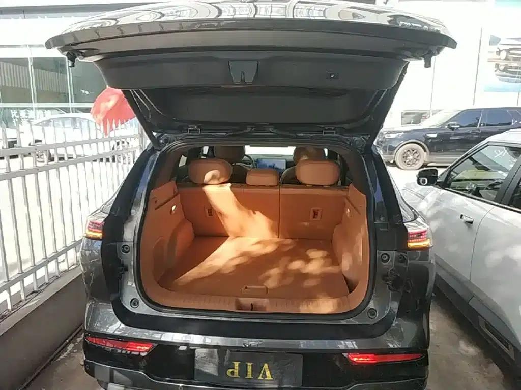 Dongfeng Fengshen L8 2025 Model 185KM Dream Edition — миниатюра 19