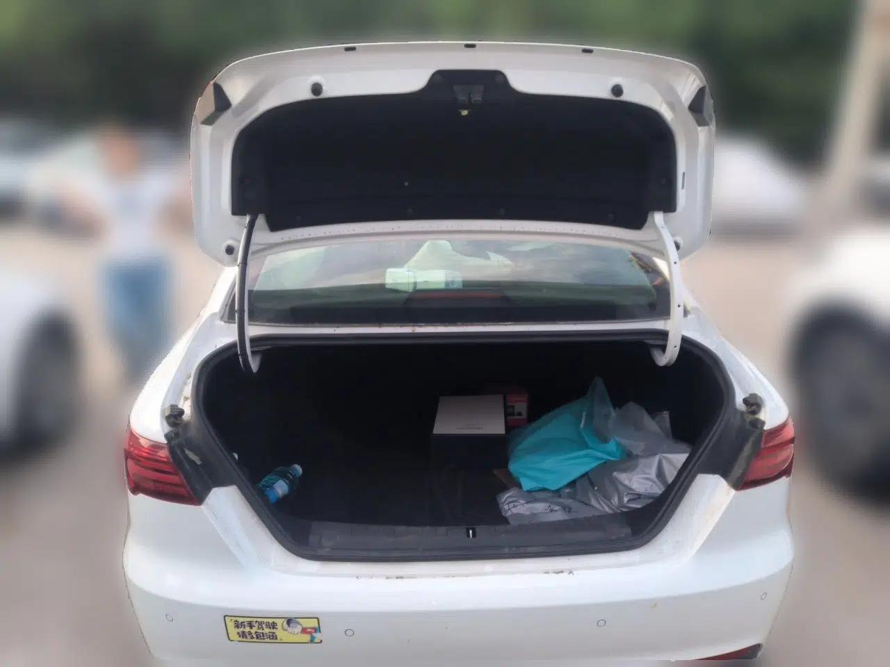 Geely Auto Binray 2020 200T Manual Comfort Version — миниатюра 20