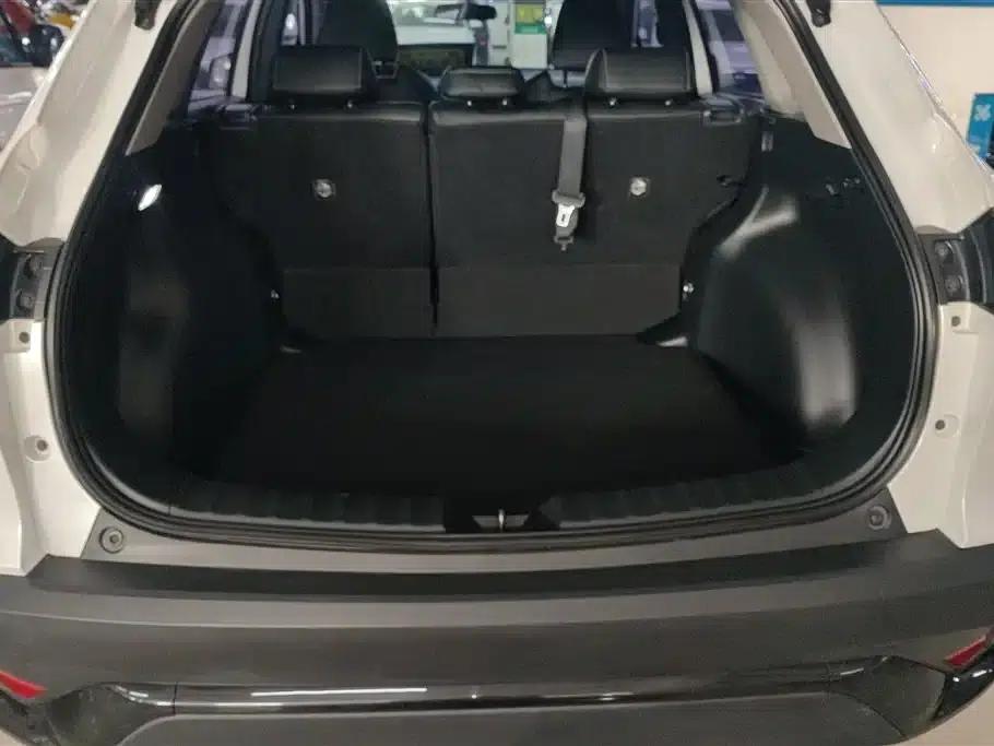 Fenglanda 2023 2.0L CVT Elite Edition — миниатюра 4
