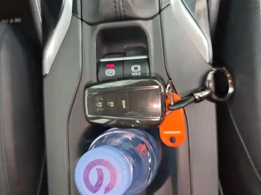 2021 Geely Lingshang 2.0L Luxury Edition — миниатюра 9