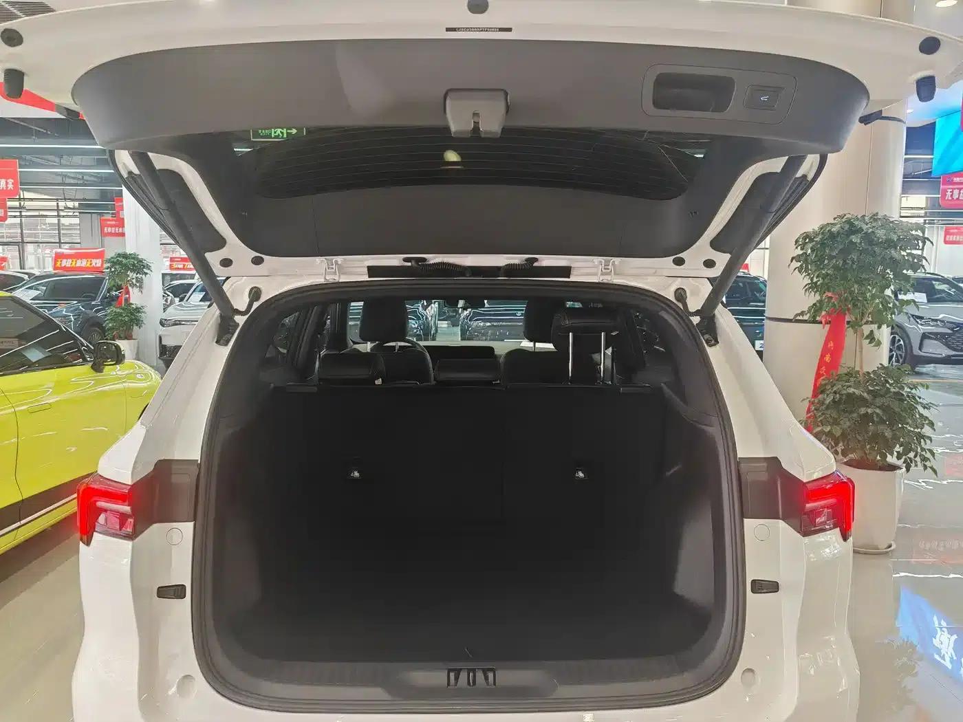 Lingrui 2023 Extreme EcoBoost 170 Light and Shadow — миниатюра 9
