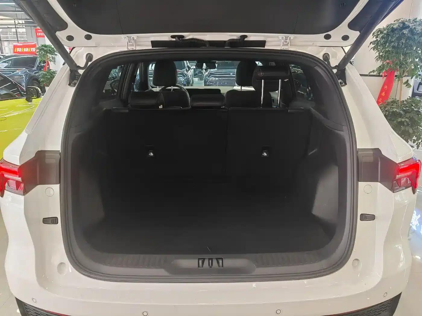 Lingrui 2023 Extreme EcoBoost 170 Light and Shadow — миниатюра 10