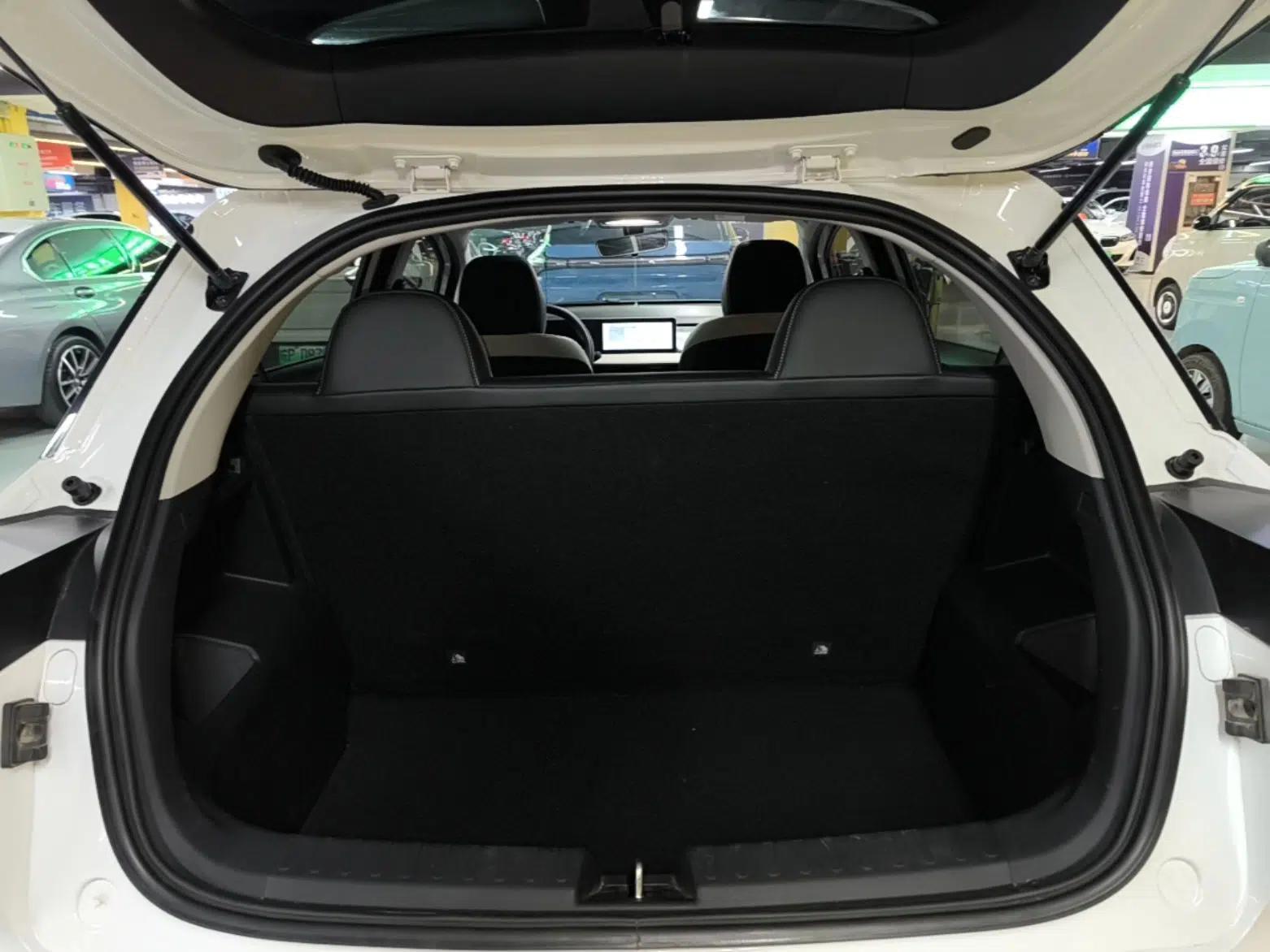 Geometry E Firefly 2022 401 km Linglong Tiger 4 Seats — миниатюра 22
