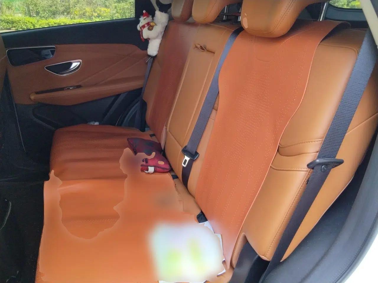 JETOUR Shanhai L7 2024 1.5T 120 km MAX 7-Seater — миниатюра 18