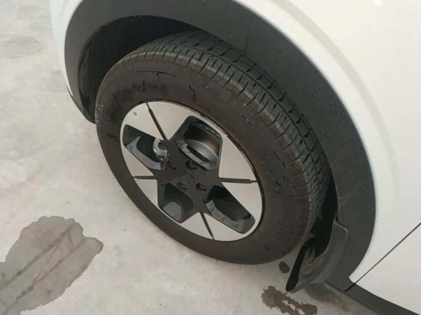 Geely Galaxy Geome 2026 Model 410km Freedom Edition — миниатюра 8