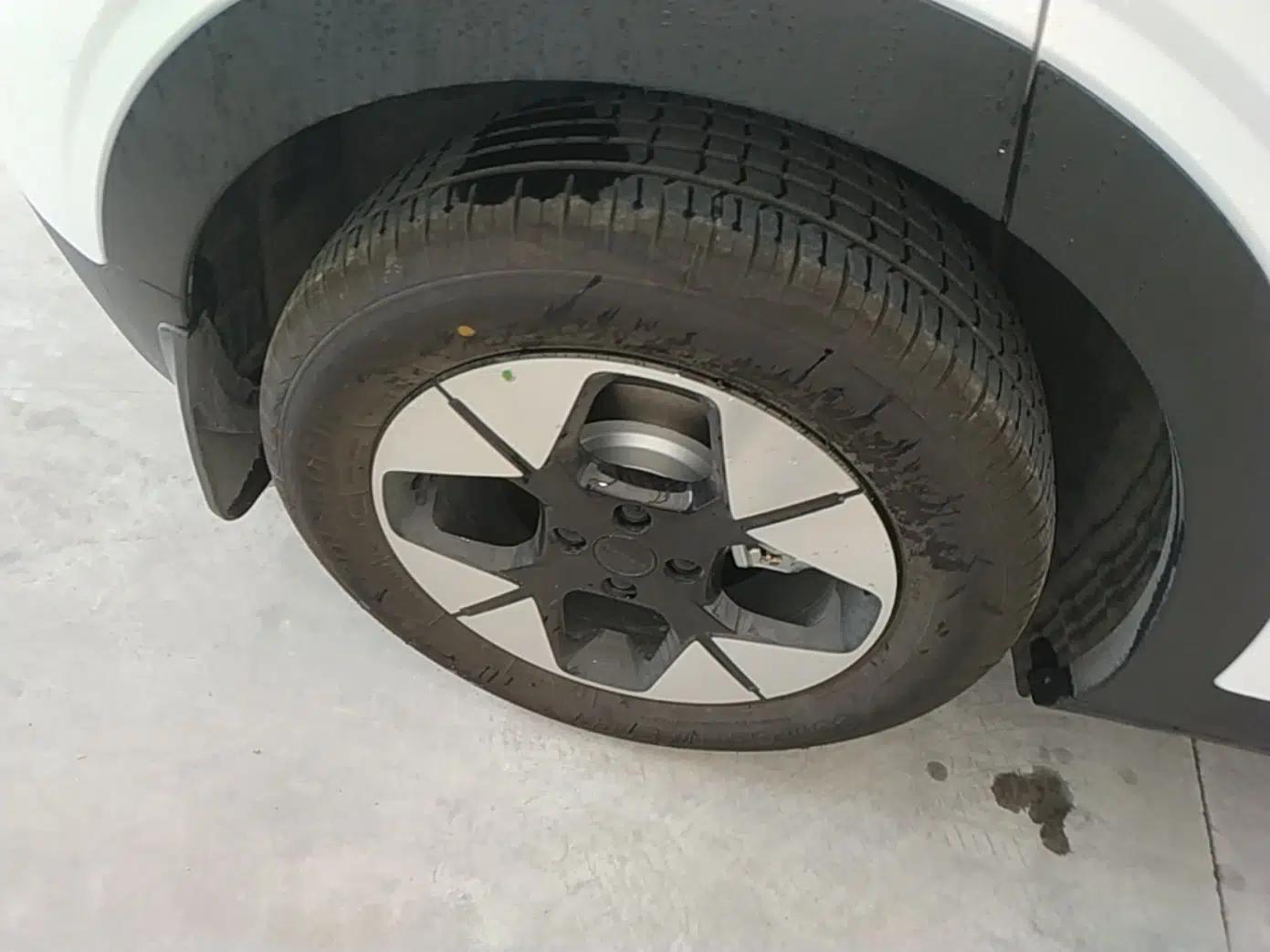 Geely Galaxy Geome 2026 Model 410km Freedom Edition — миниатюра 10