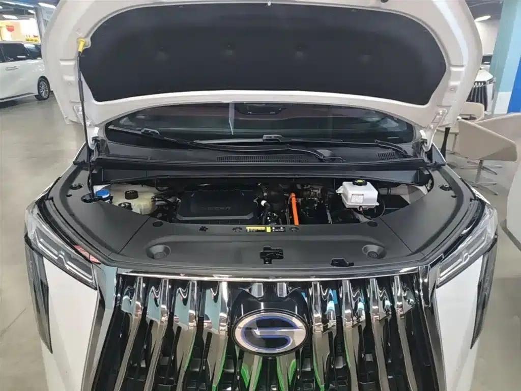 Trumpchi M8 2023 Master Series Dual Engine Supreme Edition — миниатюра 20