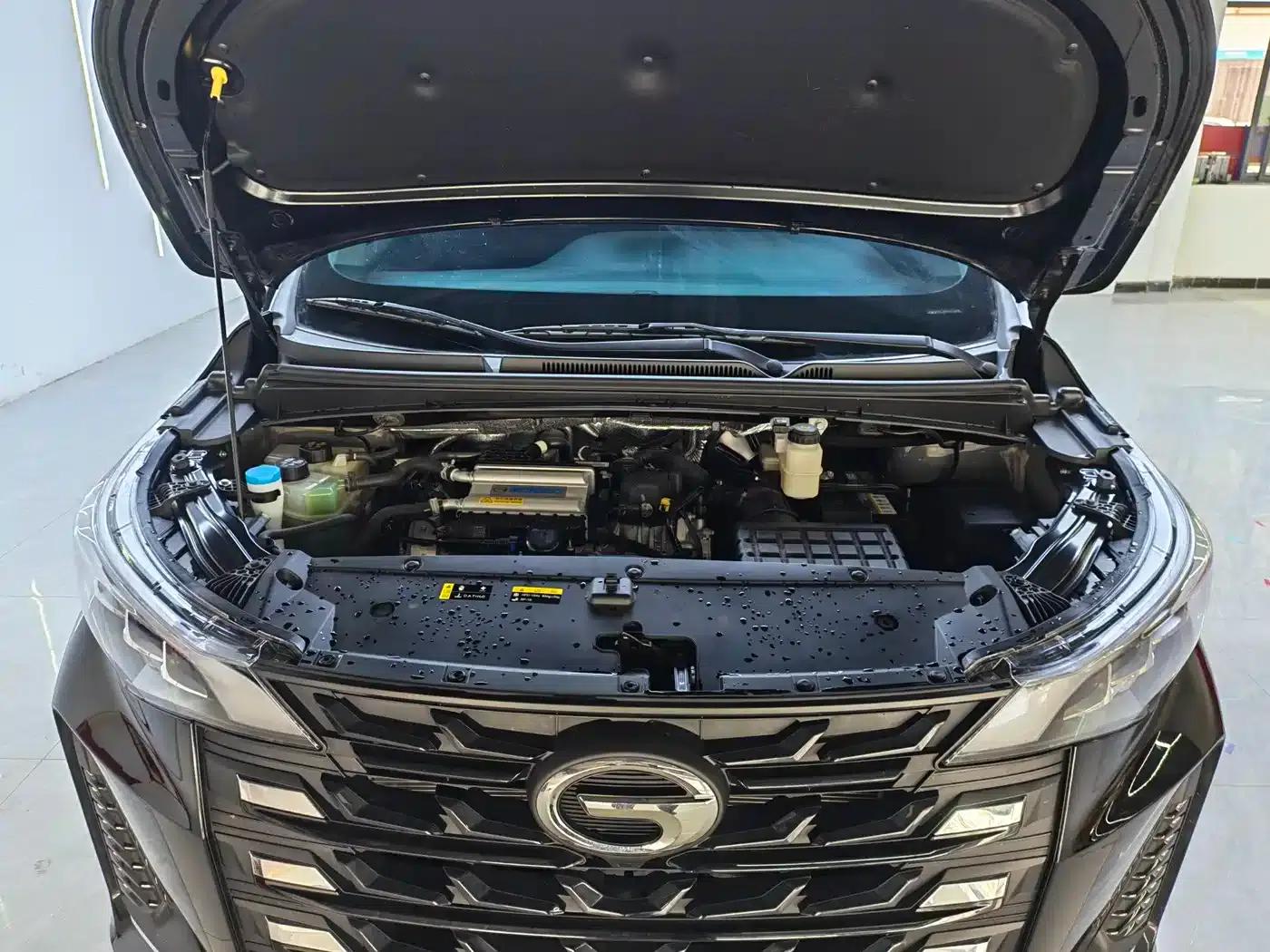 Trumpchi M6 2023 PRO 270T DCT Luxury Edition — миниатюра 13