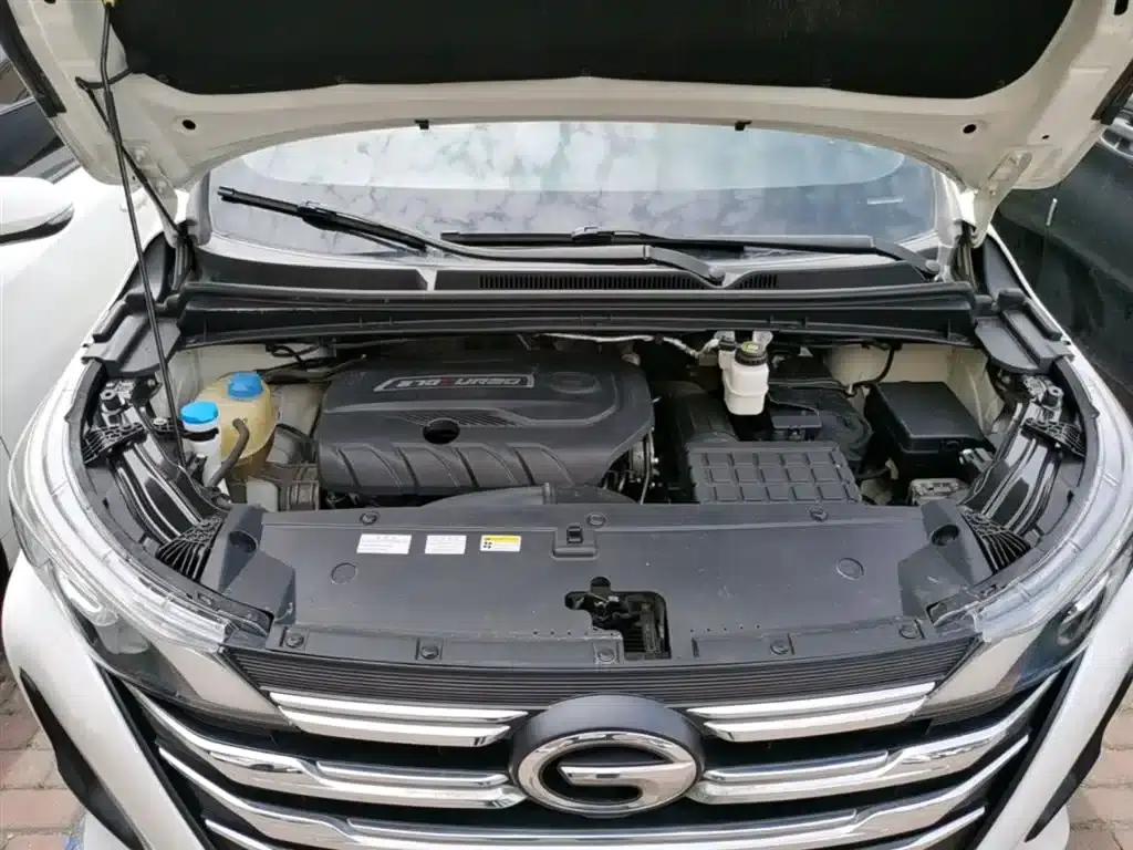 Trumpchi M6 2021 270T DCT Premium Edition (7-seater) — миниатюра 20