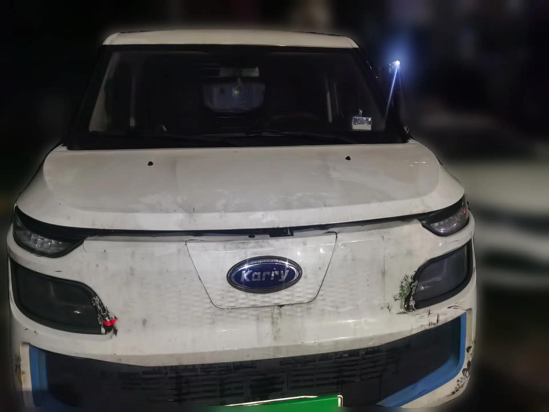 Karry Dolphin EV 2019 Smart Edition — миниатюра 2