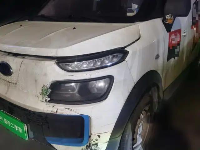 Karry Dolphin EV 2019 Smart Edition