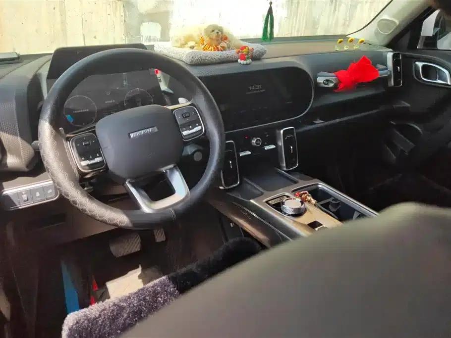 Haval Big Dog 2021 1.5T DCT 2WD Labrador Edition — миниатюра 12
