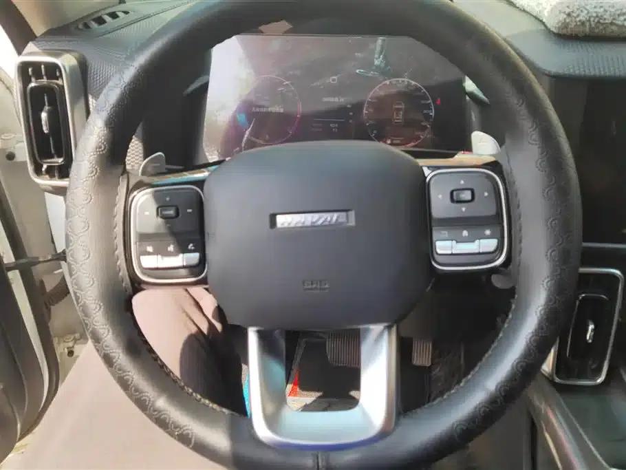 Haval Big Dog 2021 1.5T DCT 2WD Labrador Edition — миниатюра 15
