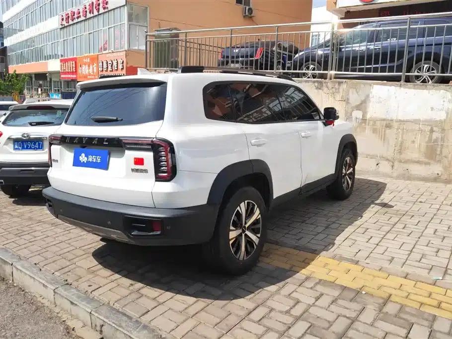 Haval Big Dog 2021 1.5T DCT 2WD Labrador Edition — миниатюра 3