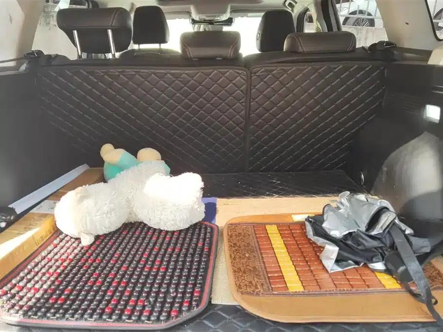 Haval Big Dog 2021 1.5T DCT 2WD Labrador Edition — миниатюра 4