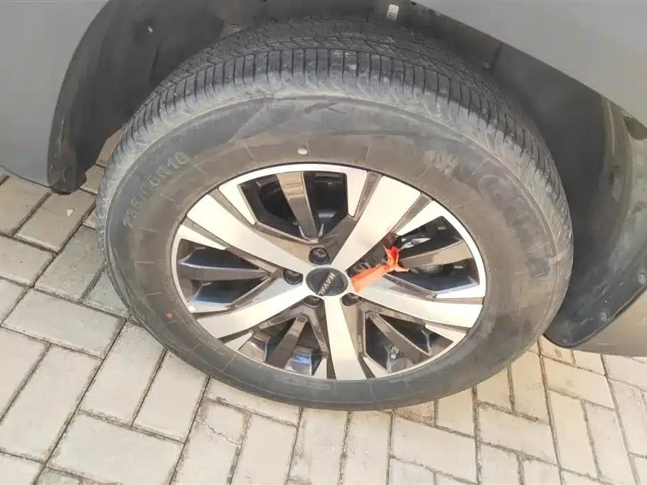 Haval Big Dog 2021 1.5T DCT 2WD Labrador Edition — миниатюра 6