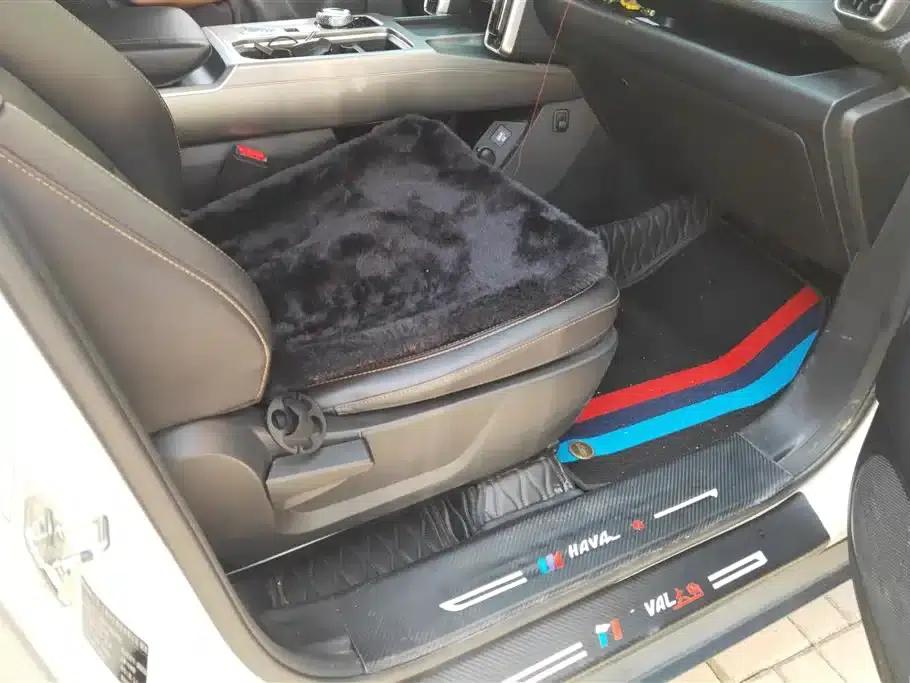 Haval Big Dog 2021 1.5T DCT 2WD Labrador Edition — миниатюра 8