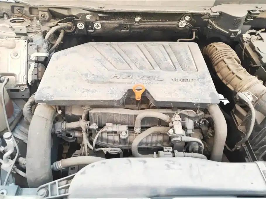 Haval Big Dog 2021 1.5T DCT 2WD Labrador Edition — миниатюра 10