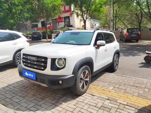 Haval Big Dog 2021 1.5T DCT 2WD Labrador Edition