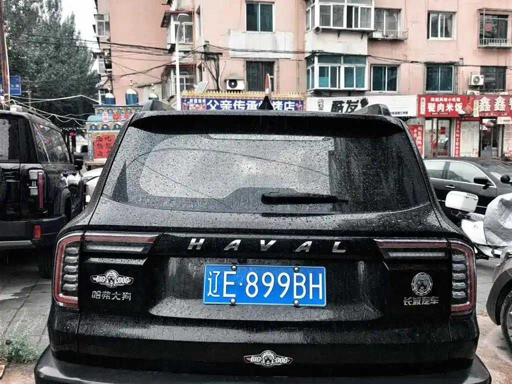 Haval Big Dog 2021 1.5T DCT 2WD Border Collie Edition — миниатюра 4