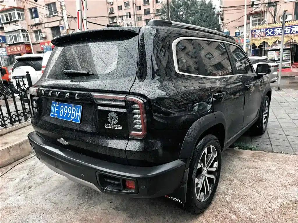Haval Big Dog 2021 1.5T DCT 2WD Border Collie Edition — миниатюра 5
