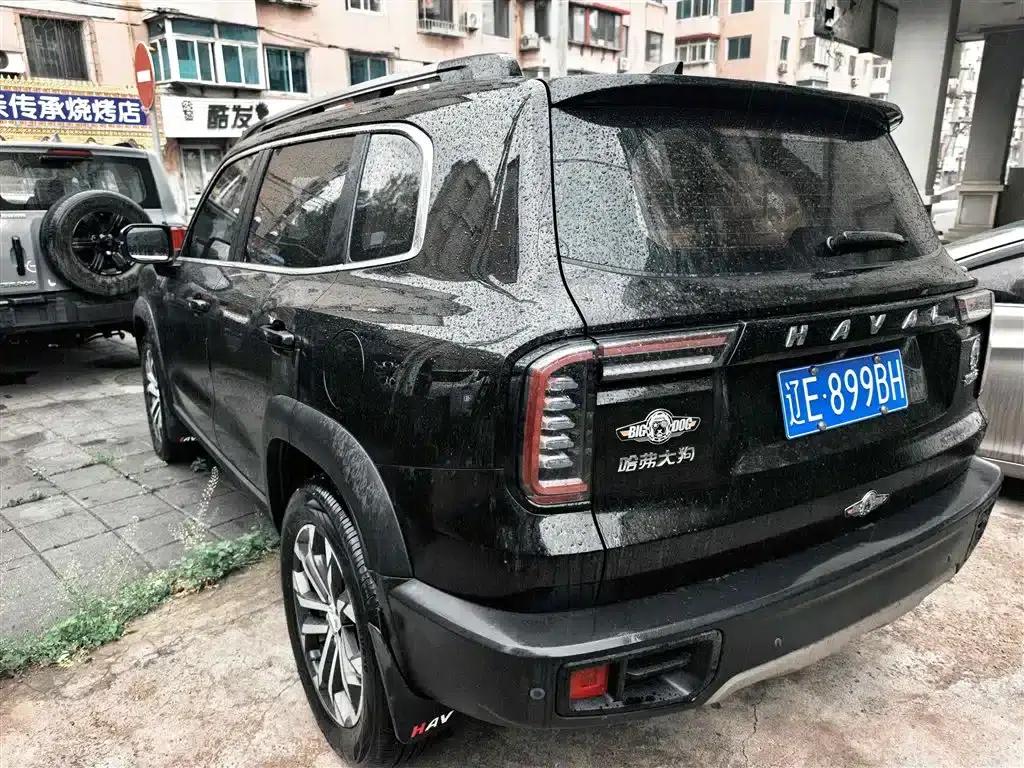 Haval Big Dog 2021 1.5T DCT 2WD Border Collie Edition — миниатюра 6