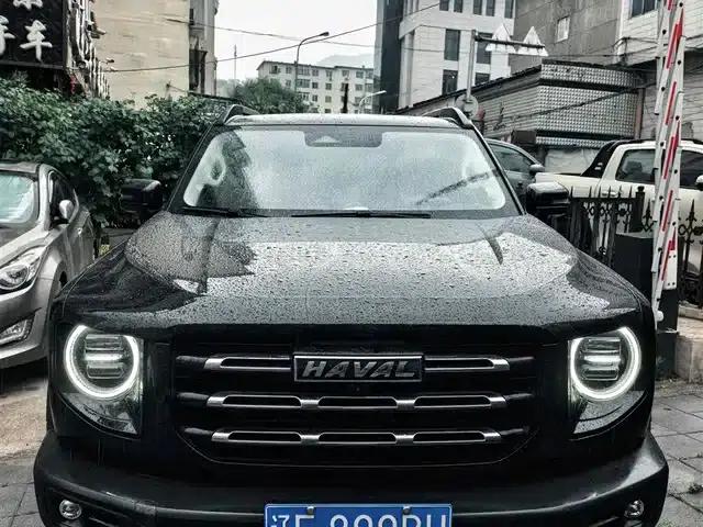 Haval Big Dog 2021 1.5T DCT 2WD Border Collie Edition