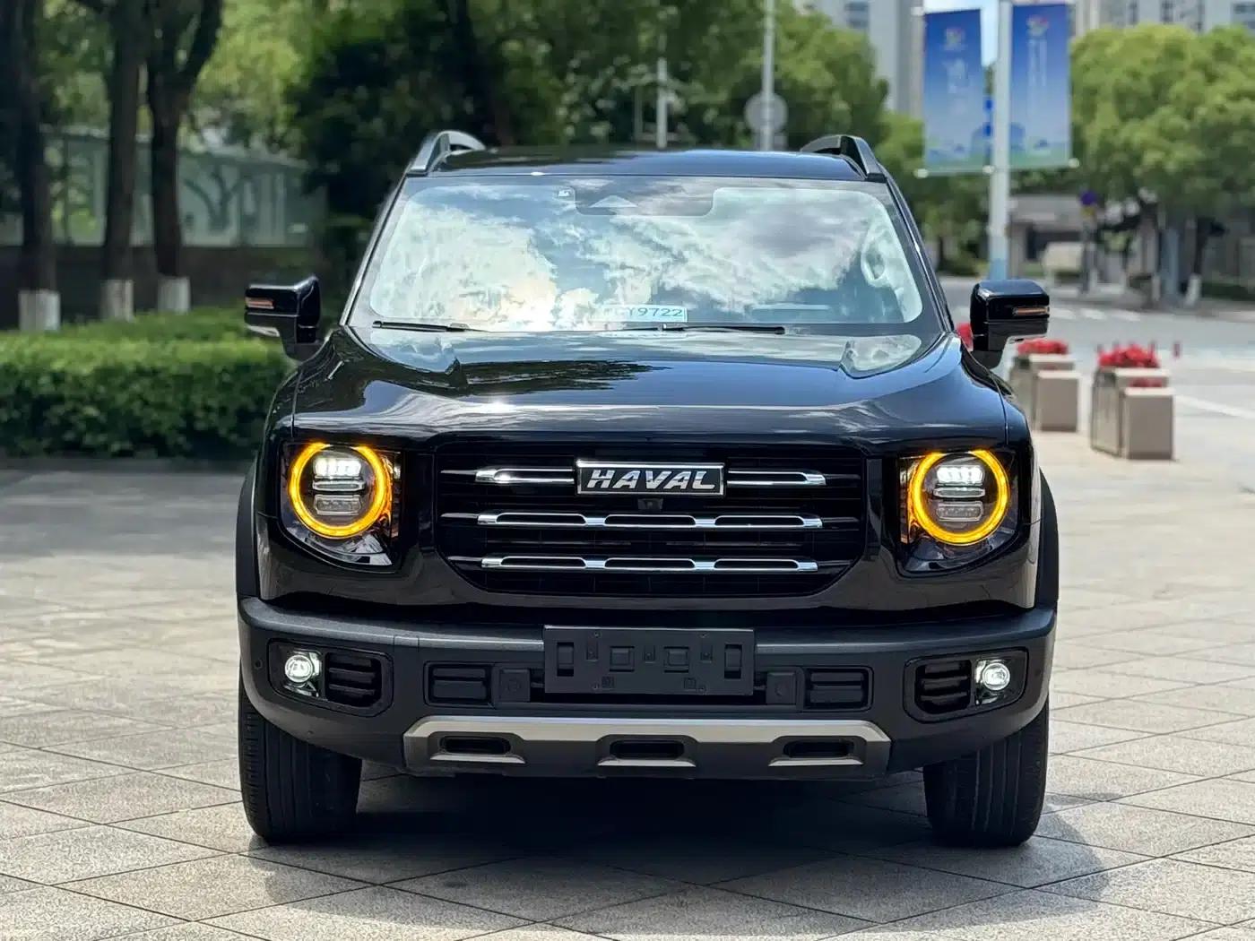 Haval Big Dog 2021 2.0T DCT 4WD Chinese Rural Dog Edition — миниатюра 2