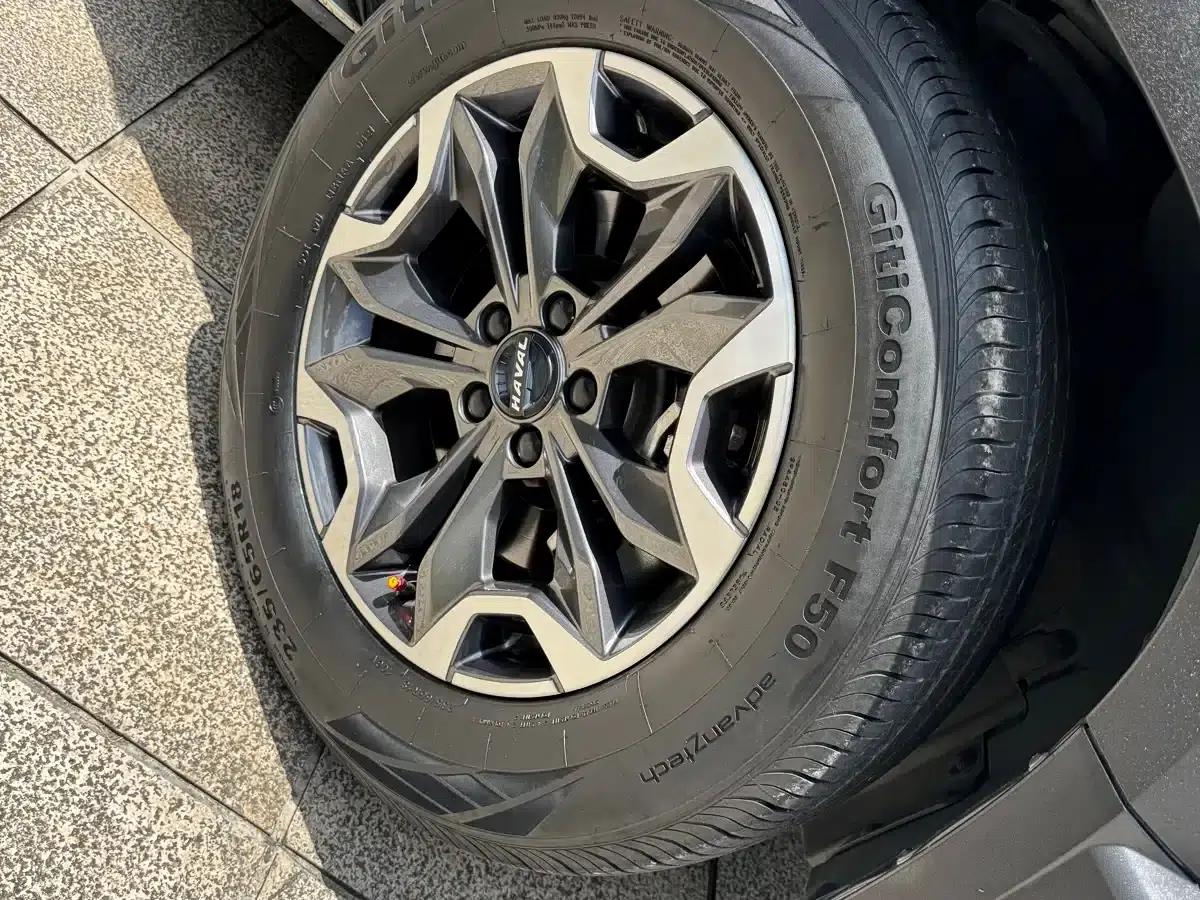 Haval Big Dog 2021 2.0T DCT 4WD Chinese Rural Dog Edition — миниатюра 20