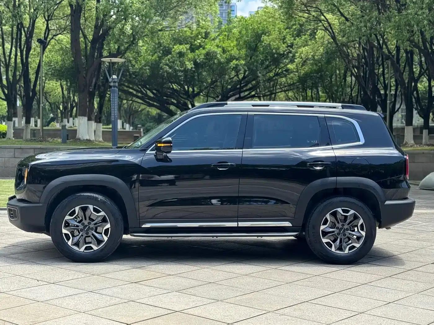 Haval Big Dog 2021 2.0T DCT 4WD Chinese Rural Dog Edition — миниатюра 4