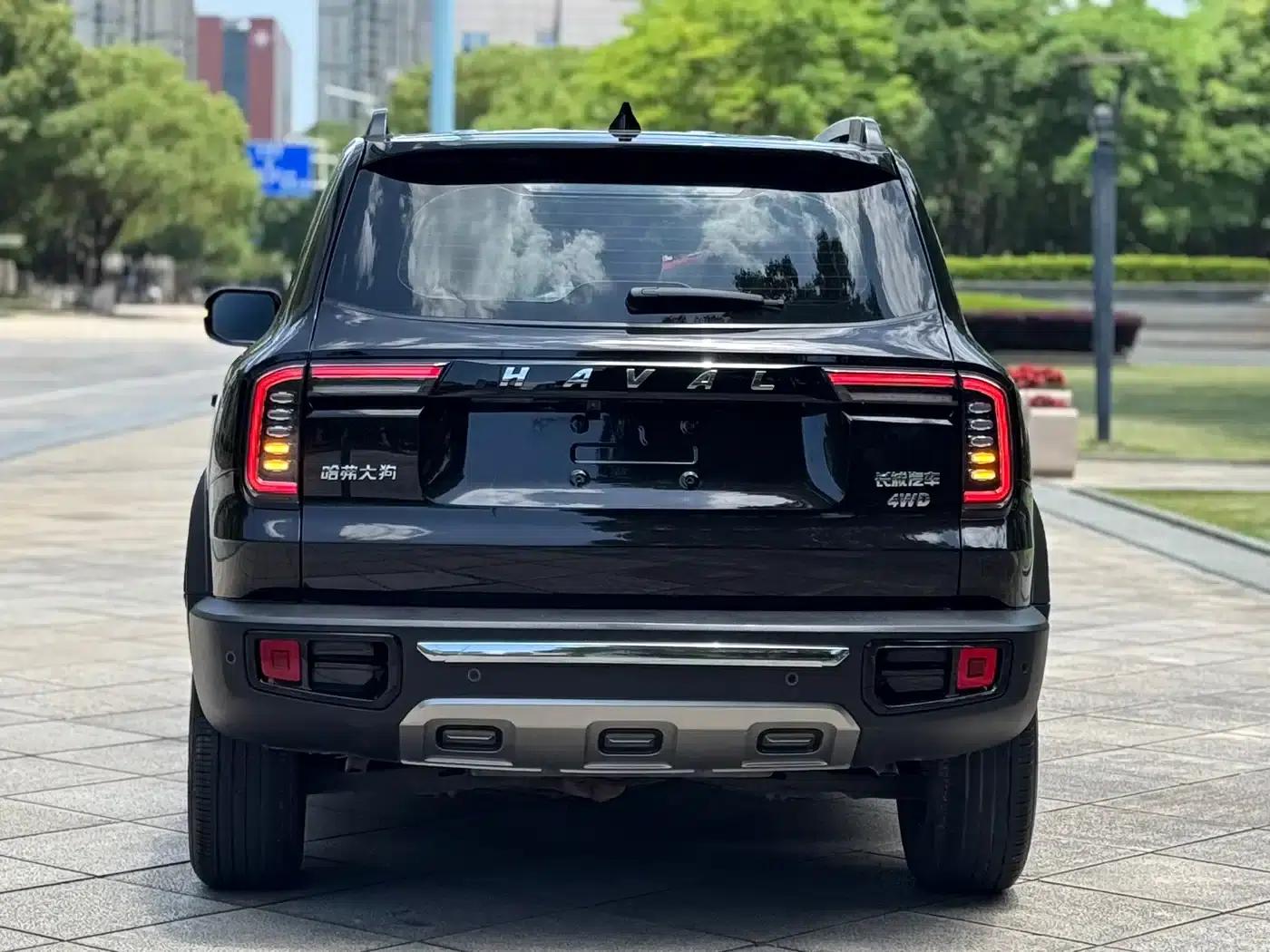 Haval Big Dog 2021 2.0T DCT 4WD Chinese Rural Dog Edition — миниатюра 6