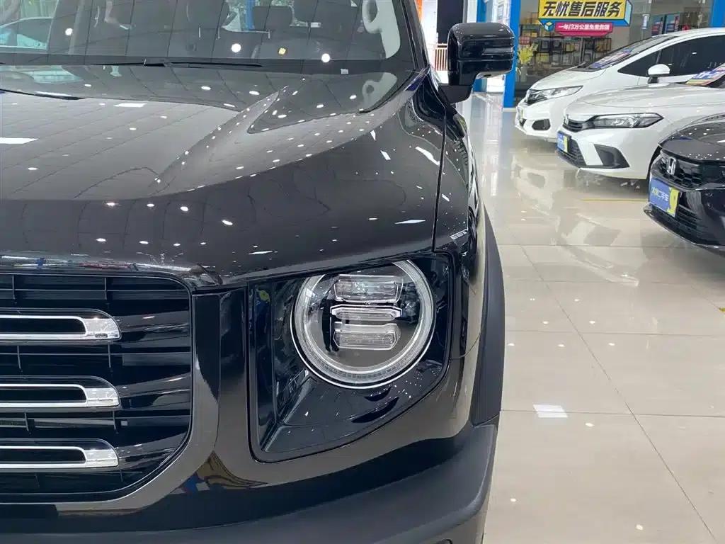 Haval Big Dog 2021 1.5T DCT 2WD Border Collie Edition — миниатюра 13