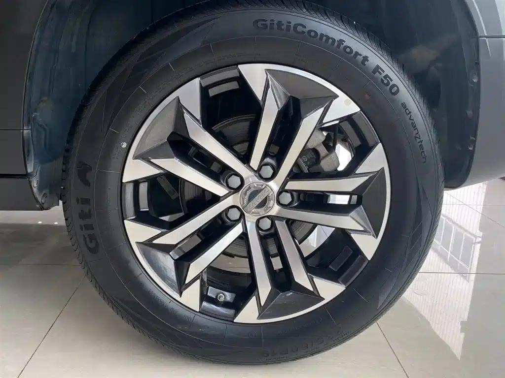 Haval Big Dog 2021 1.5T DCT 2WD Border Collie Edition — миниатюра 15
