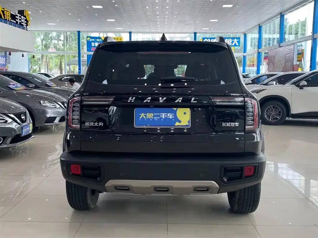 Haval Big Dog 2021 1.5T DCT 2WD Border Collie Edition — миниатюра 10