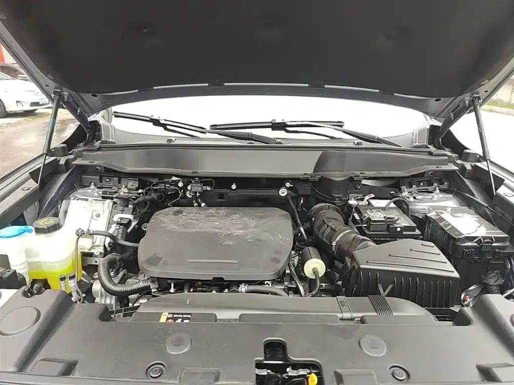 Haval Big Dog 2024 1.5T DCT Border Collie Edition — миниатюра 20