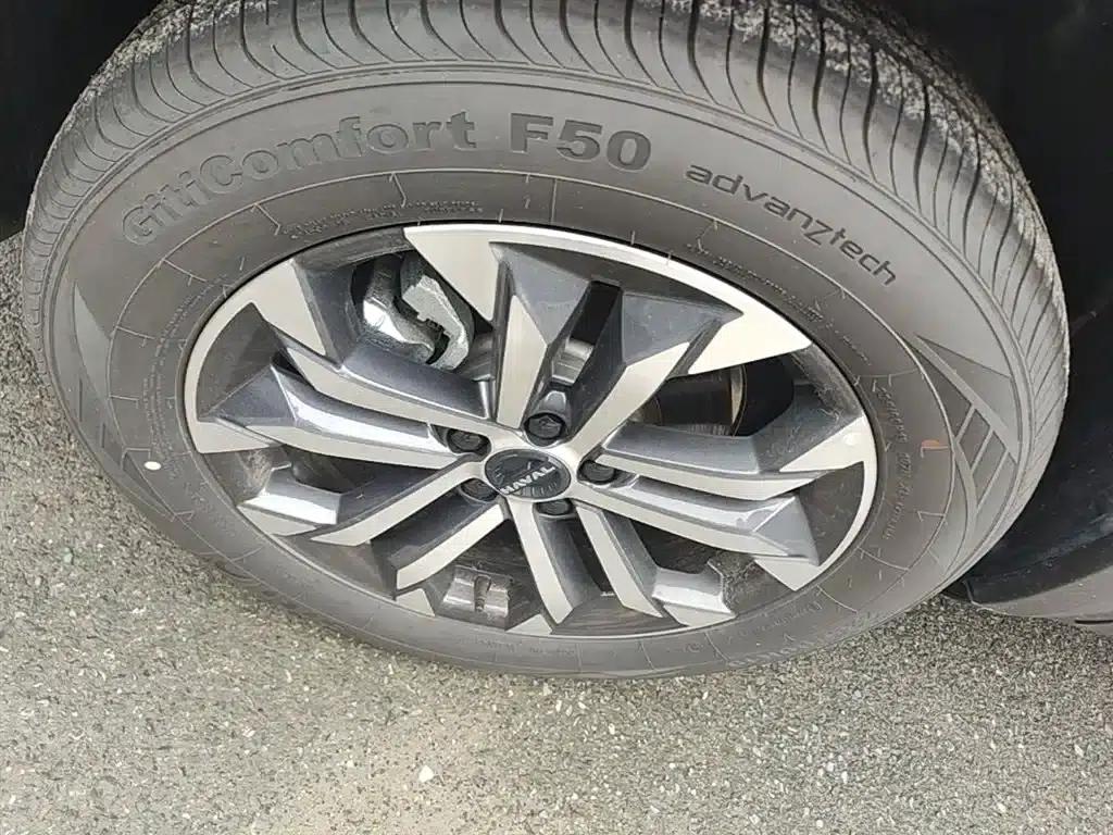 Haval Big Dog 2024 1.5T DCT Border Collie Edition — миниатюра 23