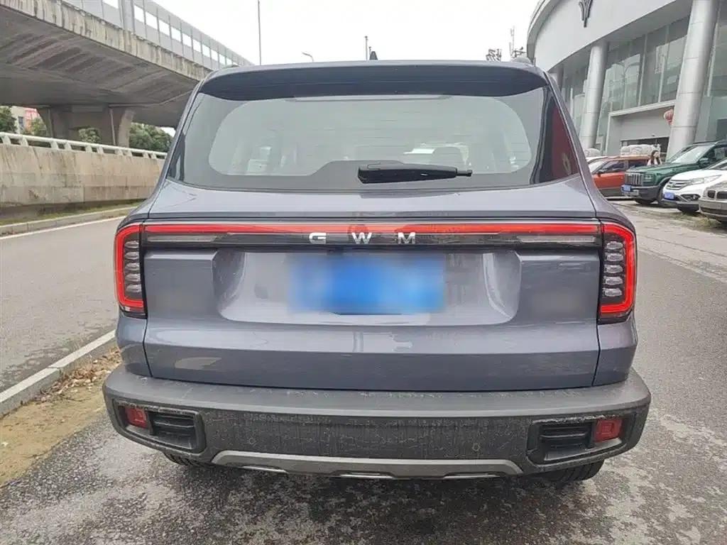 Haval Big Dog 2024 1.5T DCT Border Collie Edition — миниатюра 6